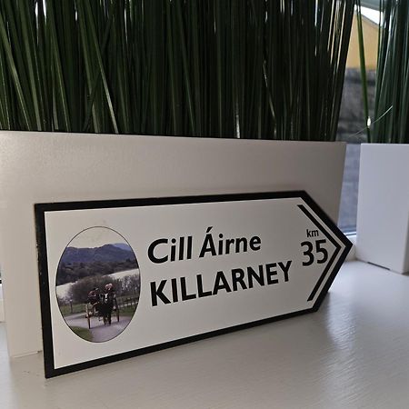 Holiday In The Heart Of Kerry 卡索曼 外观 照片